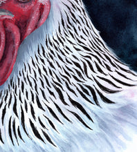 Lade das Bild in den Galerie-Viewer, Fine Art Print "HAHN"