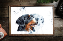 Lade das Bild in den Galerie-Viewer, Fine Art Print &quot;BERNER SENNENHUND&quot;
