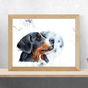 Fine Art Print "BERNER SENNENHUND"