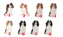 Lade das Bild in den Galerie-Viewer, Personalisierter Emaille-Becher &quot;CAVALIER KING CHARLES SPANIEL&quot;, Tasse, Geschenk
